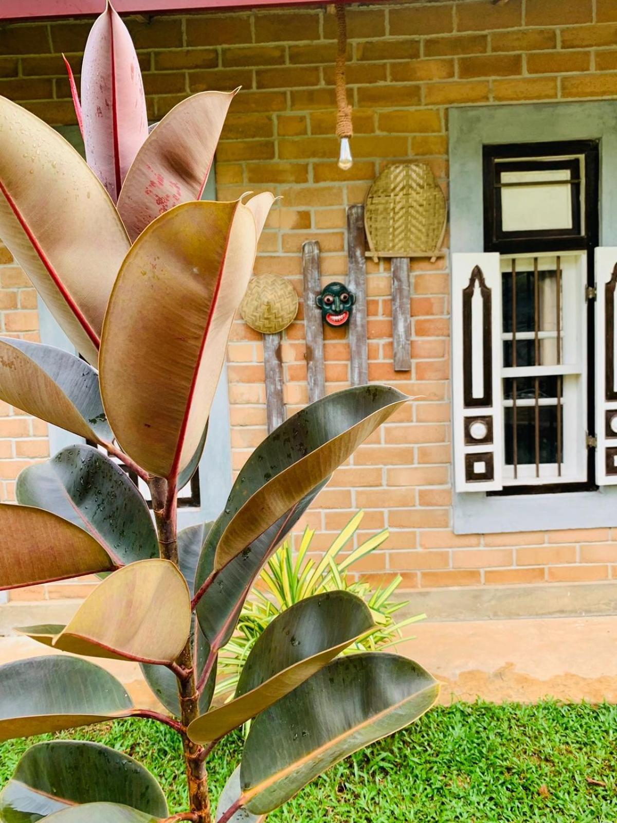 Ashok Villa Weligama Exterior photo