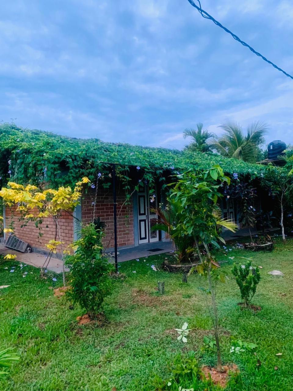 Ashok Villa Weligama Exterior photo